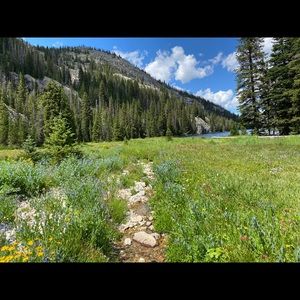 Meet your Posher, Noah